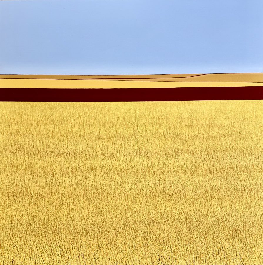 “Harvest” (Raccolto) – Serie-progetto “HARVEST”