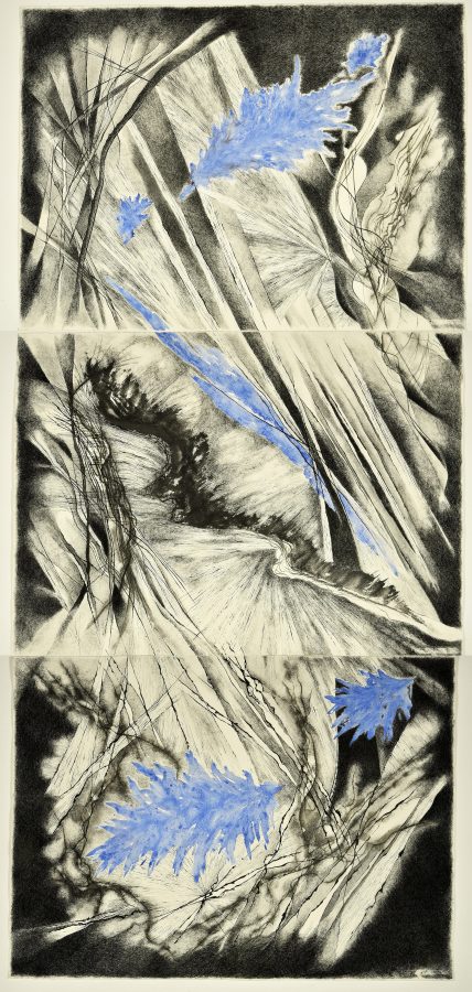 Segni e contraddizioni 3