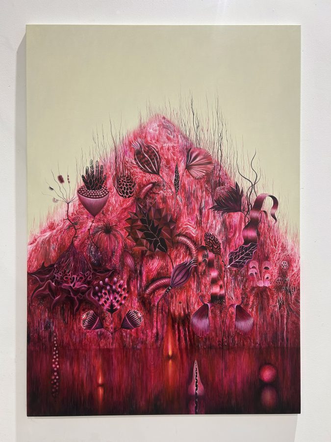 Post naturalia (Rubrum) + 10 tavole dell’Herbarium Neraria