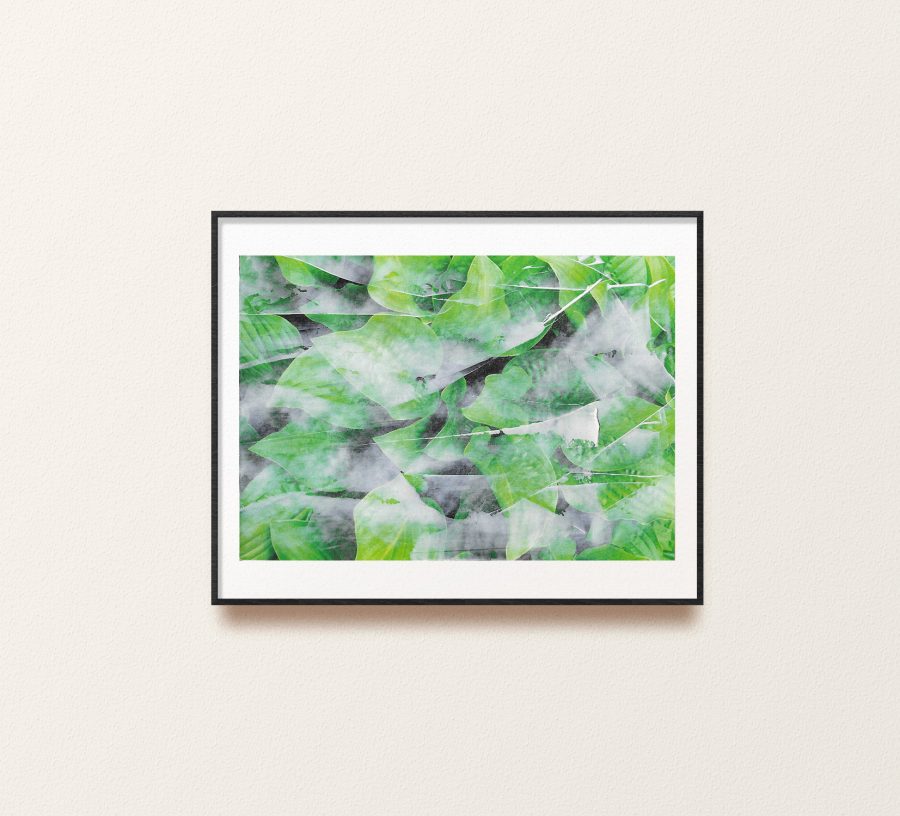 Untitled, 2024 (I)
