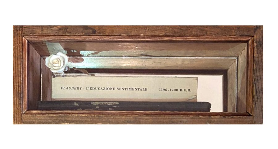 Educazione Sentimentale