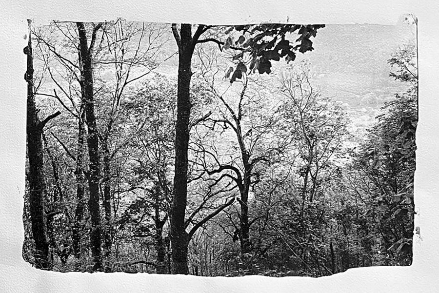 senza nome n.31 dalla serie  di-vento