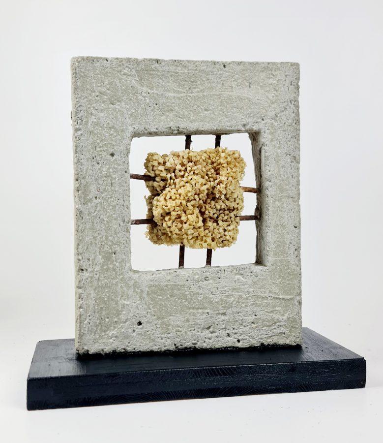 TRAPPOLA DI GRIGIO-SCHIUSE