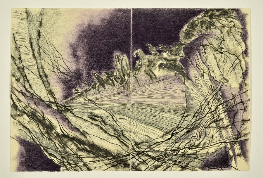 Segni e contraddizioni 5