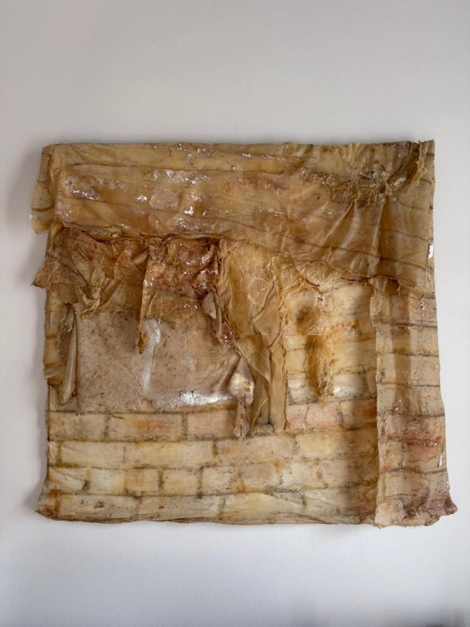 Recuerdos de la piel n.1