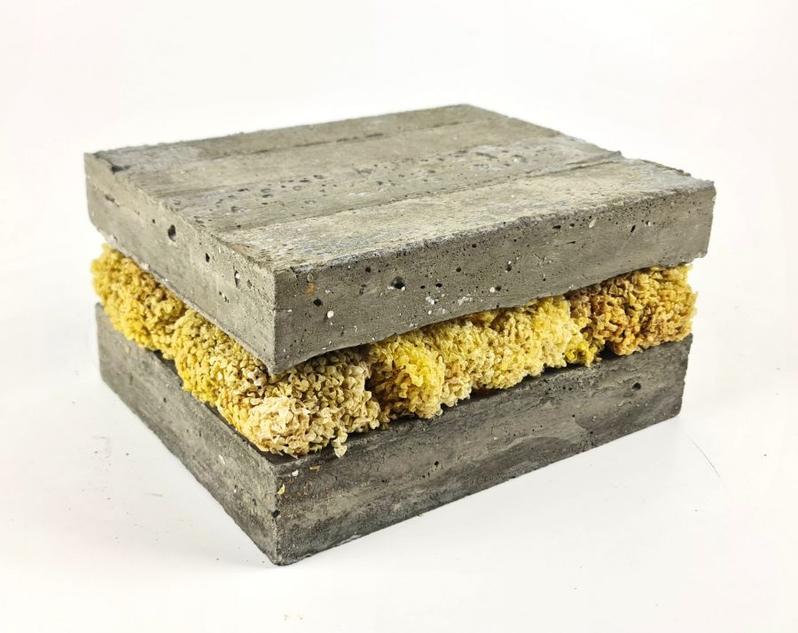 LA PRESSIONE DEL PROGRESSO