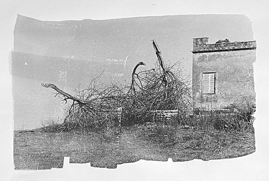 senza titolo n.39 dalla serie  di-vento