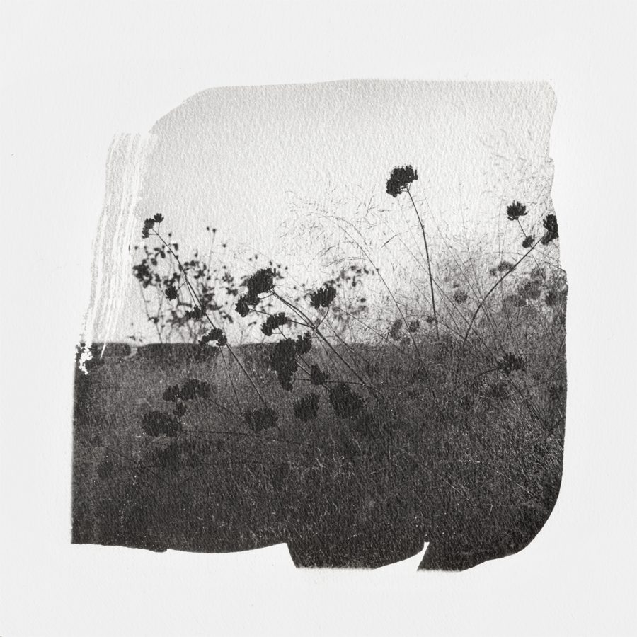 senza titolo_(di-vento)#16