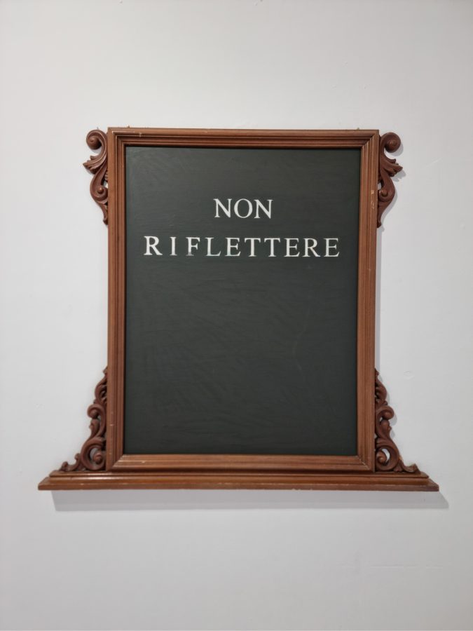 La riproduzione ammessa