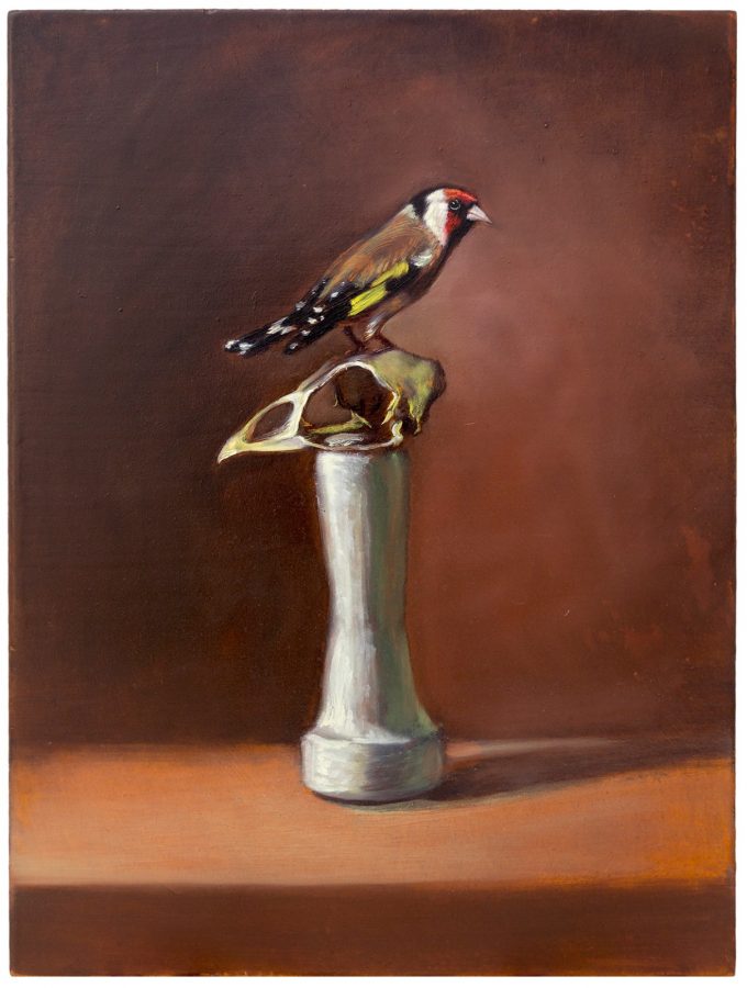 Il totem del cardellino