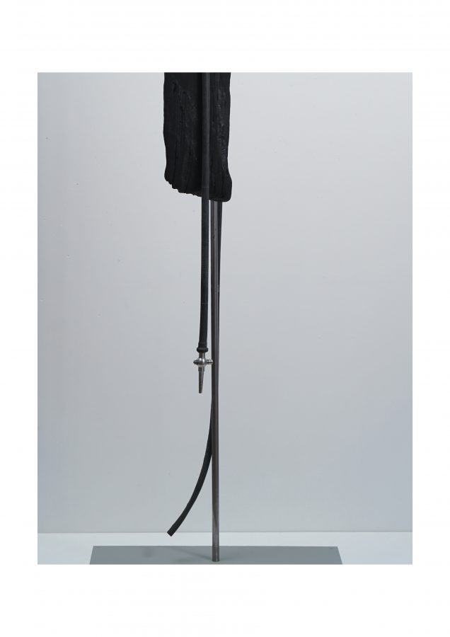 The Fountain of Youth