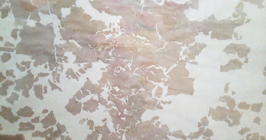 l’acqua pesa – serie