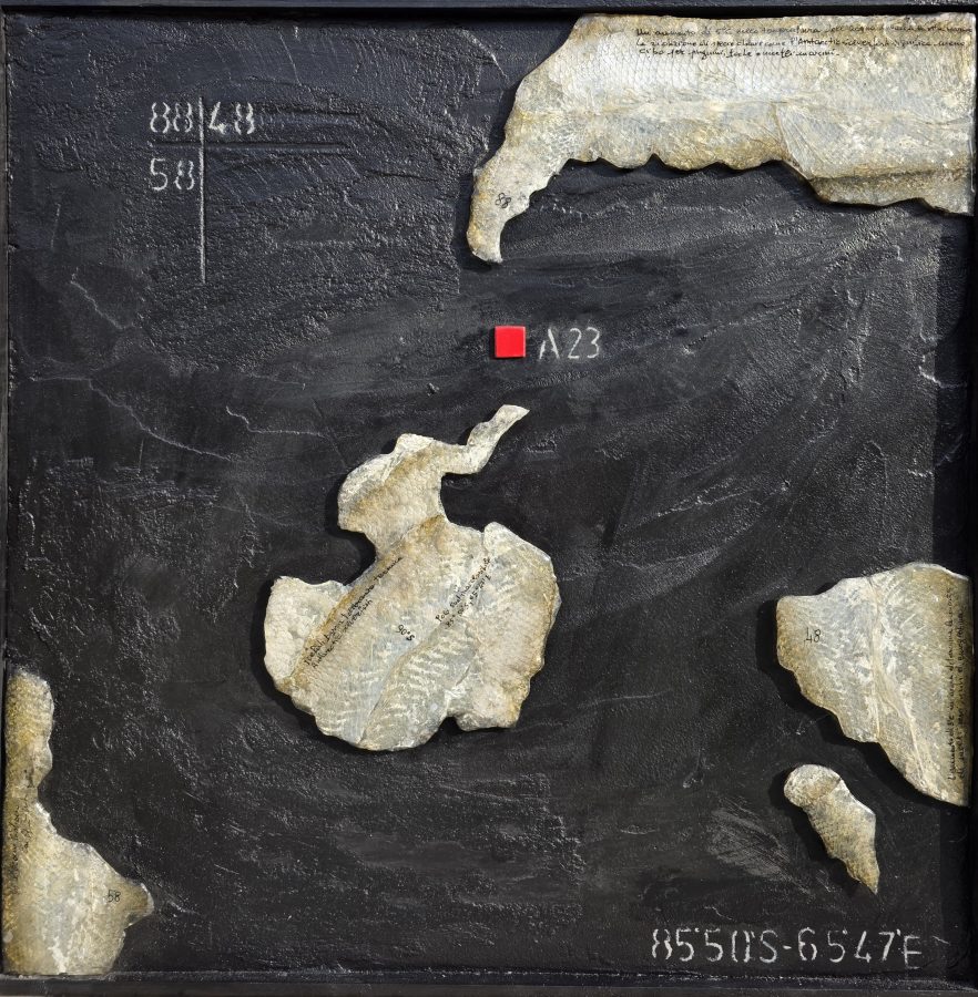 DERIVE – ANTARTICO