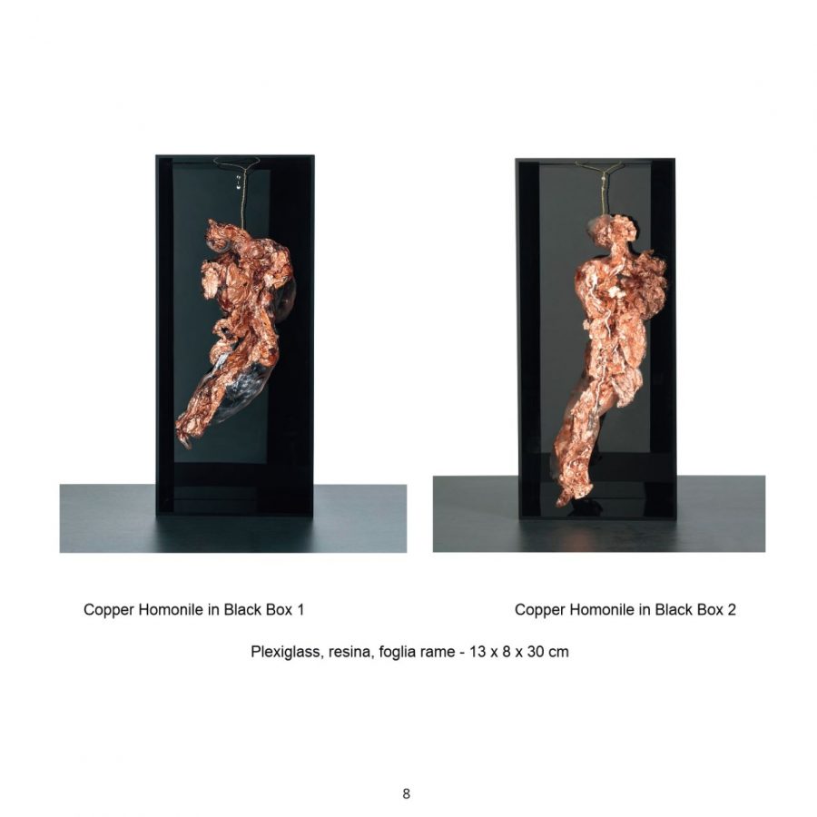 COPPER HOMONILI IN BLACK BOXES – DITTICO