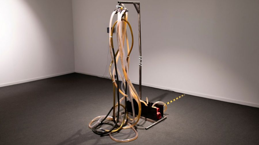 Non so fare altro che vivere