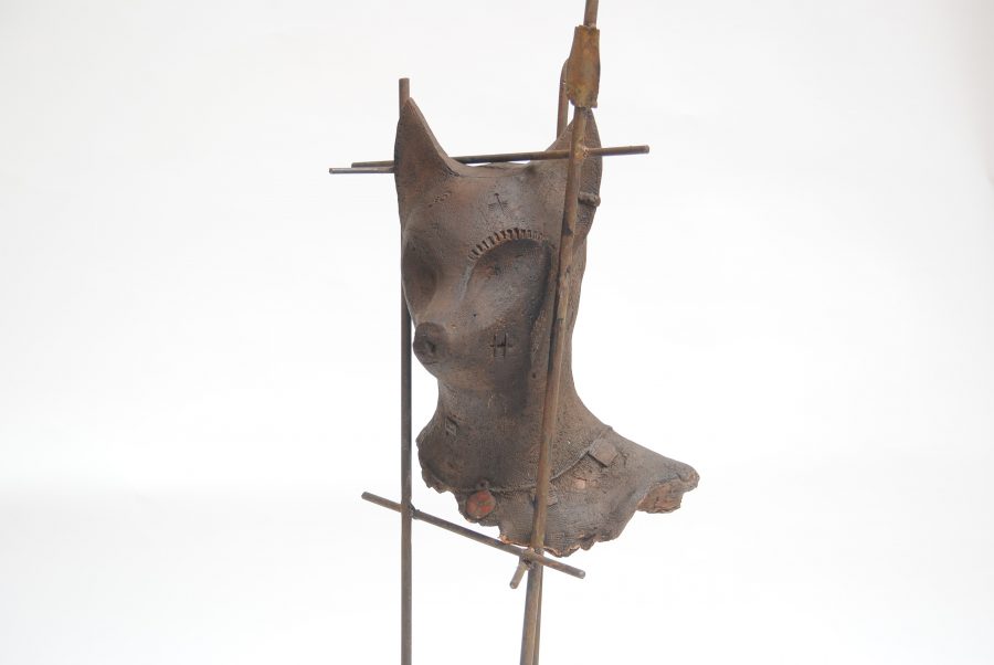 Mutazioni II- Dopo i Canopi