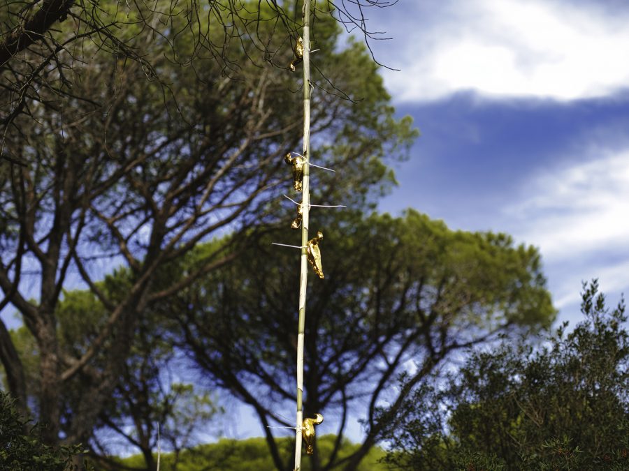 L’artificio non canta ma brilla al cielo