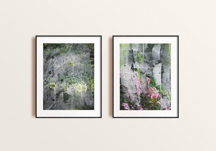 Untitled (Diptych), 2020