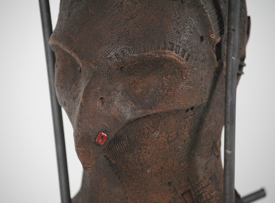 Mutazioni -Dopo i Canopi