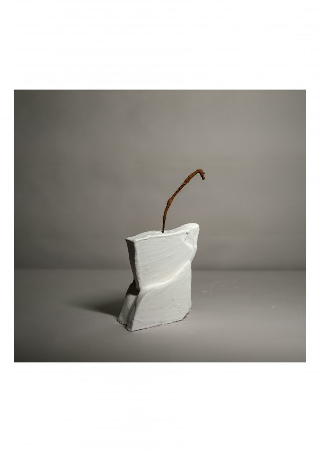 Vasi (Rose in un vaso)