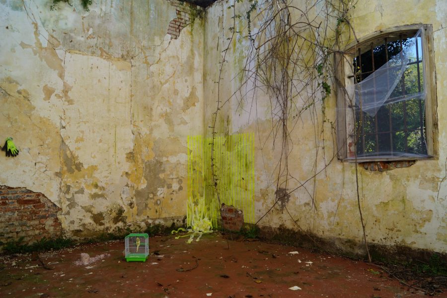 Istante super-fluo (Se sei fatto per volare, vola)