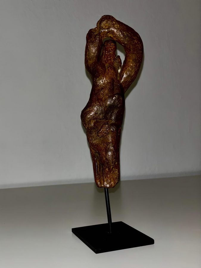 Venere corsa