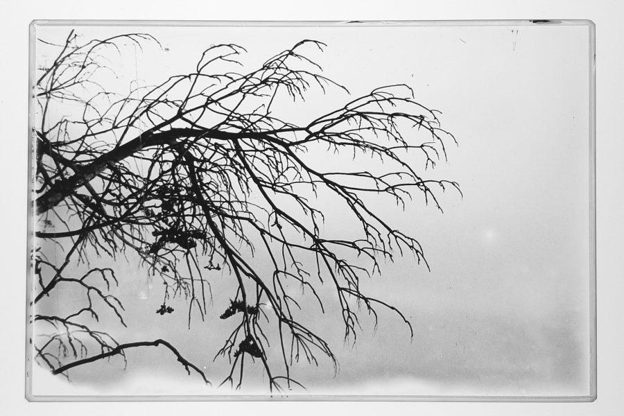 senza titolo n.48 su vetro dalla serie  di-vento