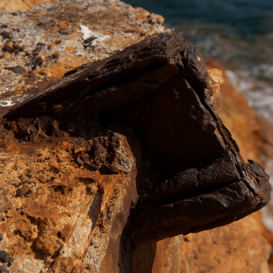 Topinetti 2 – Isola d’Elba longarina corrosa del pontile di ormeggio per le navi trasporto minerale