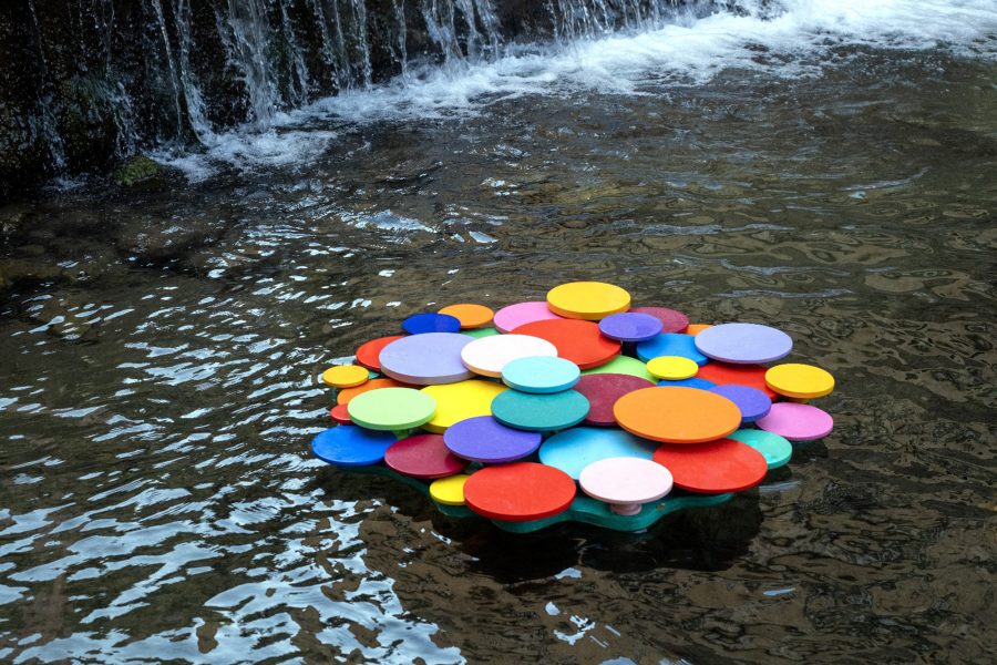 fior d’ acqua