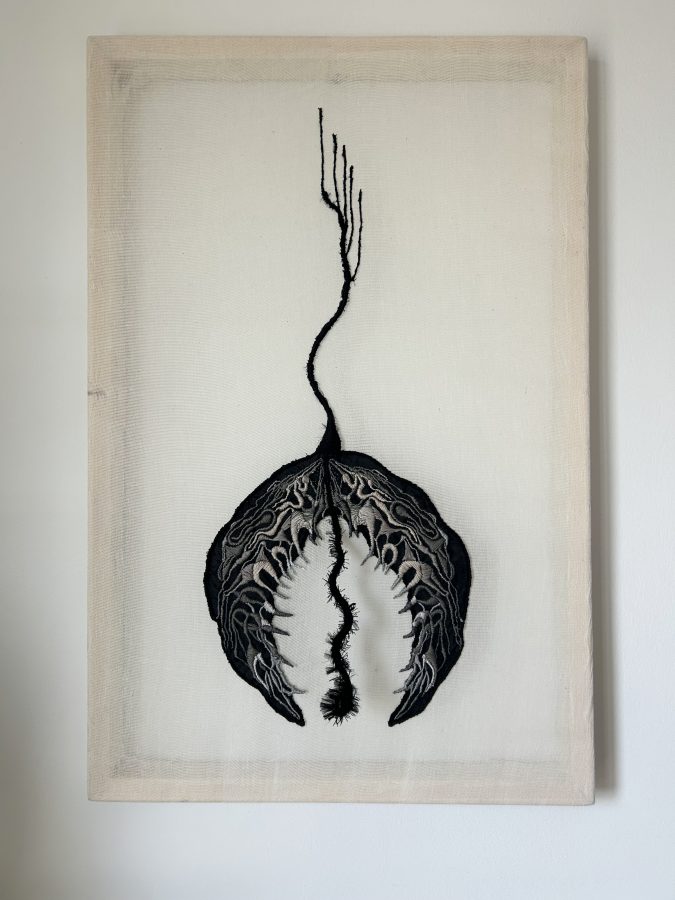 Cinerea Inversa Seminifera