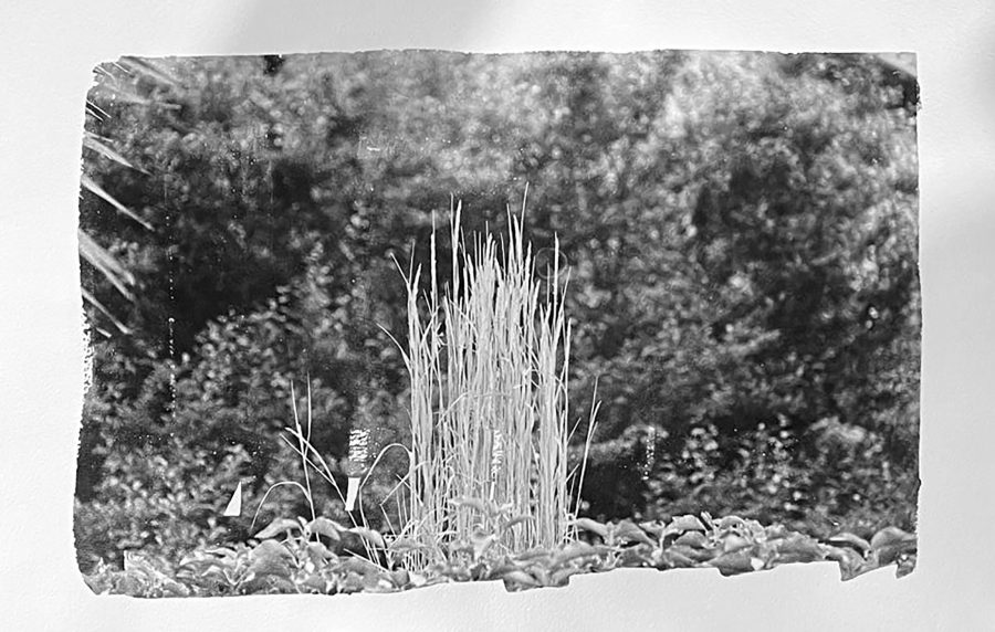 senza titolo n.34 dalla serie  di-vento