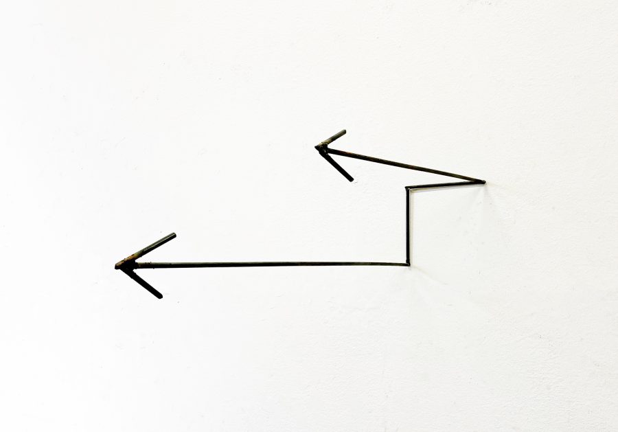 Vettori dell’io additato