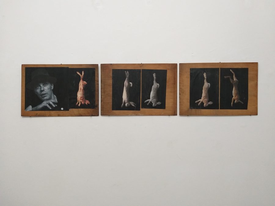 Come spiegare i quadri a una lepre morta, omaggio a Beuys nel centenario della nascita