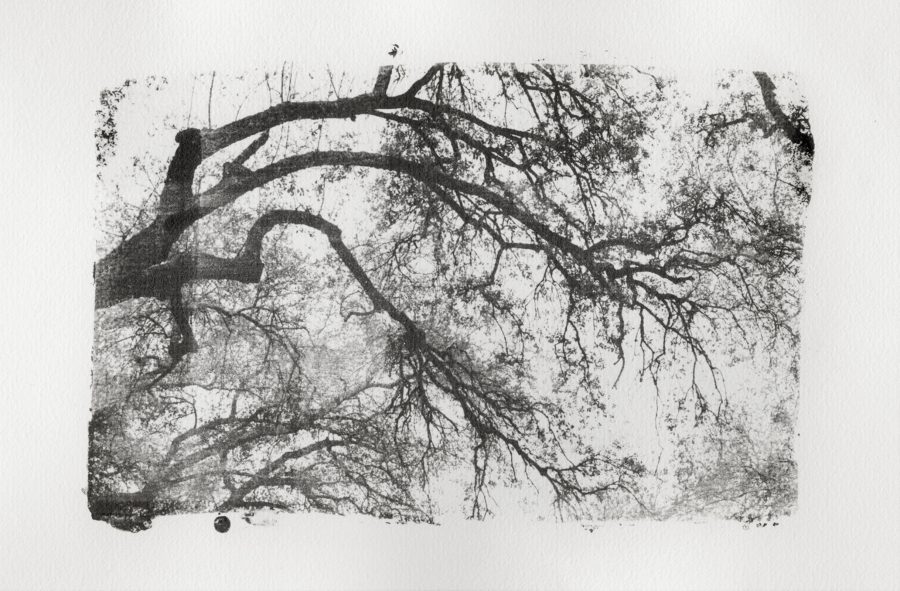 senza titolo_(di-vento)#05