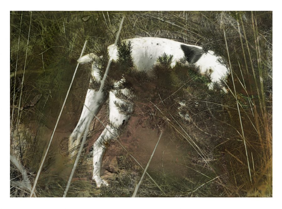 Time & again   Nr.09