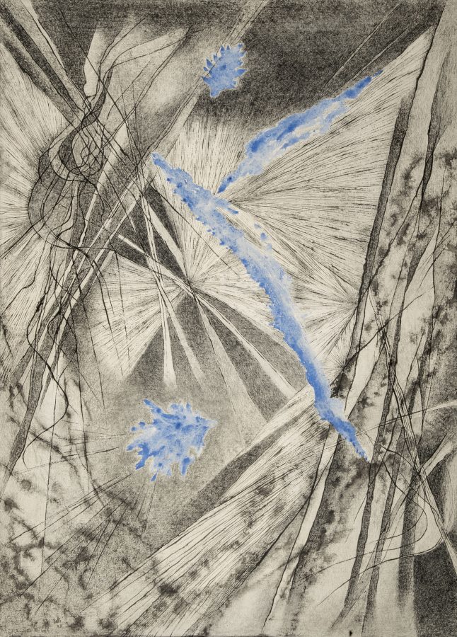 Segni e Contraddizioni 4