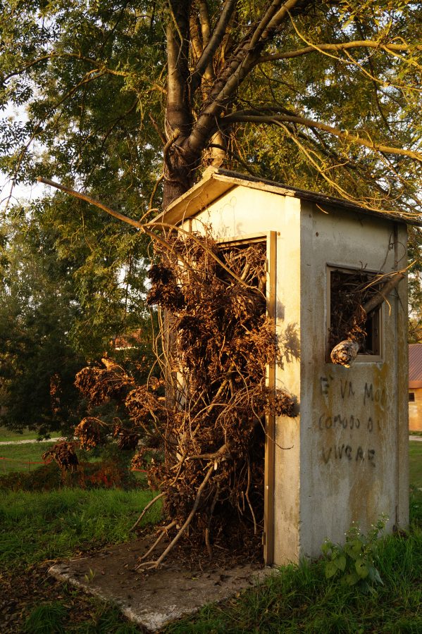 Il senso di tutto questo (autoritratto)