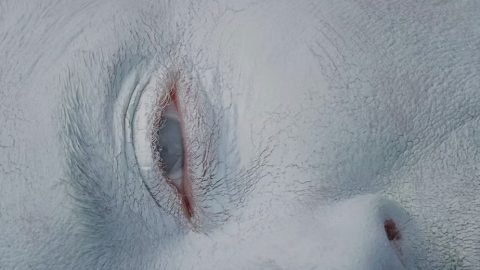Valentina Gelain es la ganadora de la quinta edición del exibart prize